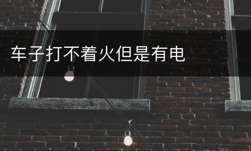 车子打不着火但是有电