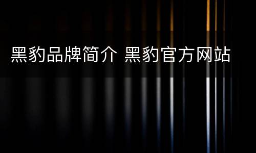 黑豹品牌简介 黑豹官方网站