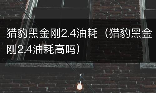 猎豹黑金刚2.4油耗（猎豹黑金刚2.4油耗高吗）
