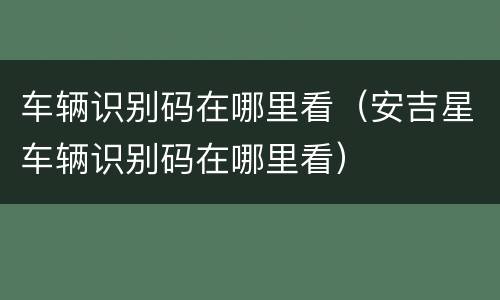 车辆识别码在哪里看（安吉星车辆识别码在哪里看）