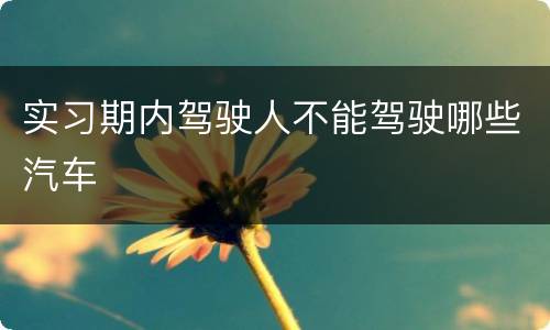 实习期内驾驶人不能驾驶哪些汽车