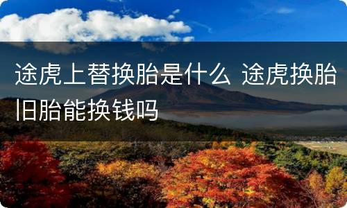 途虎上替换胎是什么 途虎换胎旧胎能换钱吗