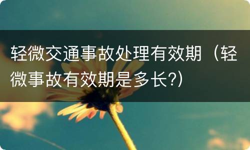 轻微交通事故处理有效期（轻微事故有效期是多长?）