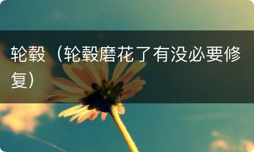轮毂（轮毂磨花了有没必要修复）