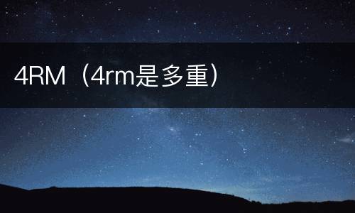 4RM（4rm是多重）