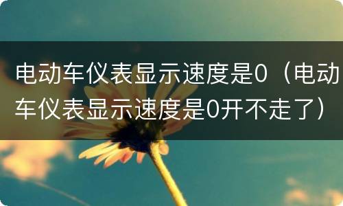电动车仪表显示速度是0（电动车仪表显示速度是0开不走了）