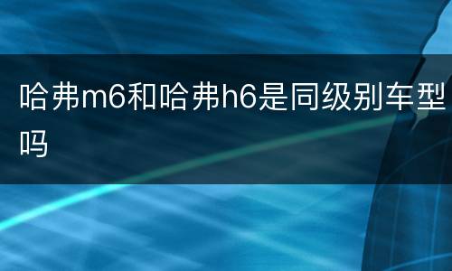 哈弗m6和哈弗h6是同级别车型吗