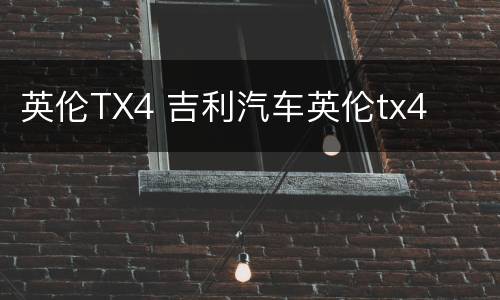 英伦TX4 吉利汽车英伦tx4