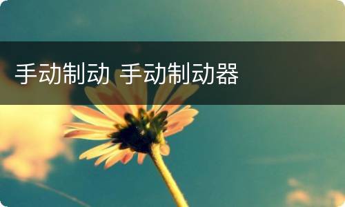 手动制动 手动制动器