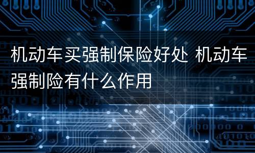 机动车买强制保险好处 机动车强制险有什么作用