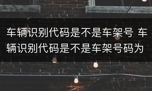 车辆识别代码是不是车架号 车辆识别代码是不是车架号码为什么会错