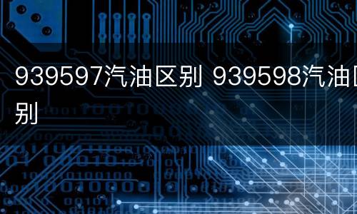 939597汽油区别 939598汽油区别