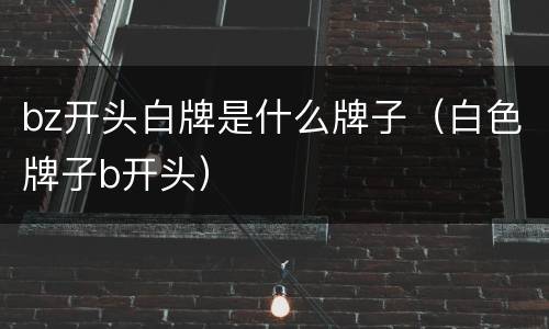 bz开头白牌是什么牌子（白色牌子b开头）