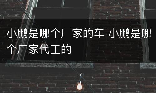 小鹏是哪个厂家的车 小鹏是哪个厂家代工的