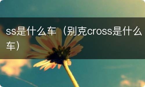 ss是什么车（别克cross是什么车）