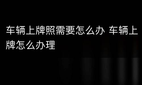 车辆上牌照需要怎么办 车辆上牌怎么办理