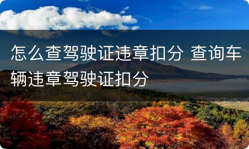 怎么查驾驶证违章扣分 查询车辆违章驾驶证扣分