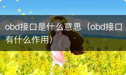 obd接口是什么意思（obd接口有什么作用）