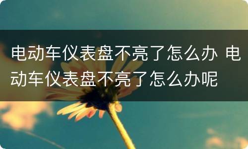 电动车仪表盘不亮了怎么办 电动车仪表盘不亮了怎么办呢