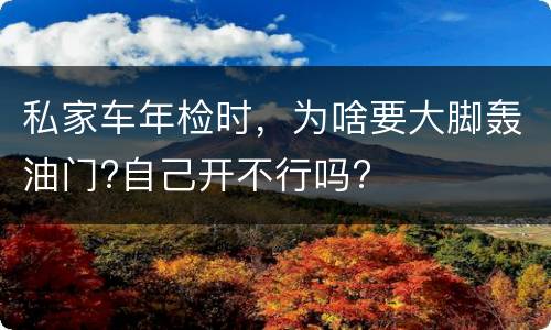 私家车年检时，为啥要大脚轰油门?自己开不行吗?