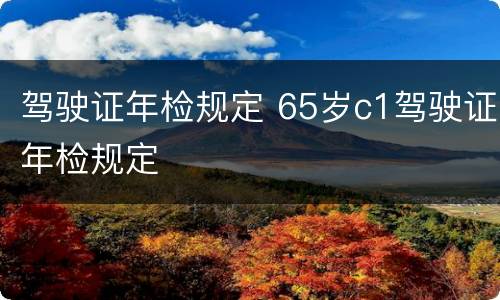 驾驶证年检规定 65岁c1驾驶证年检规定