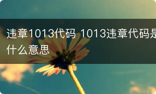 违章1013代码 1013违章代码是什么意思