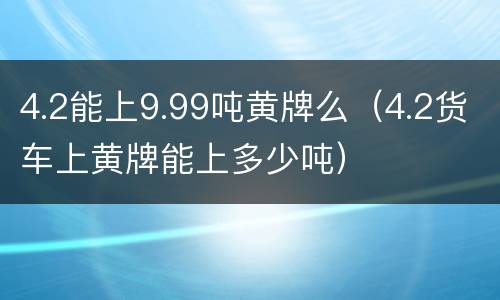 4.2能上9.99吨黄牌么（4.2货车上黄牌能上多少吨）
