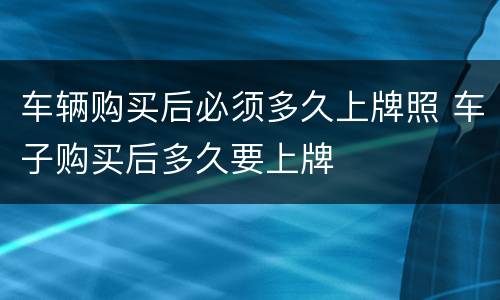 车辆购买后必须多久上牌照 车子购买后多久要上牌