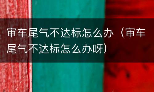 审车尾气不达标怎么办（审车尾气不达标怎么办呀）