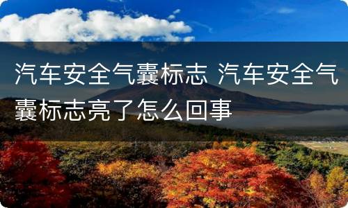 汽车安全气囊标志 汽车安全气囊标志亮了怎么回事