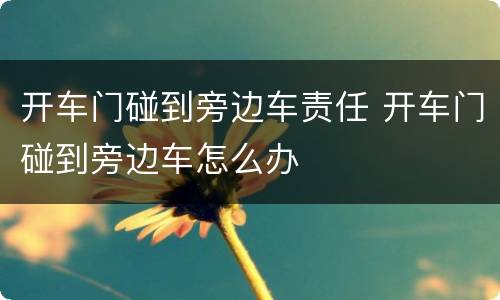 开车门碰到旁边车责任 开车门碰到旁边车怎么办