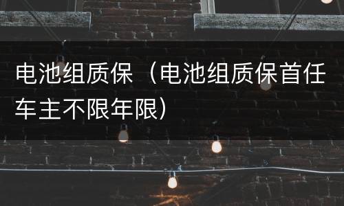 电池组质保（电池组质保首任车主不限年限）