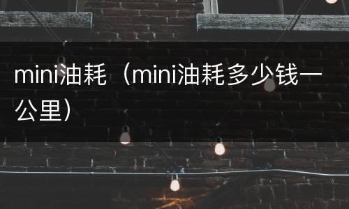 mini油耗（mini油耗多少钱一公里）