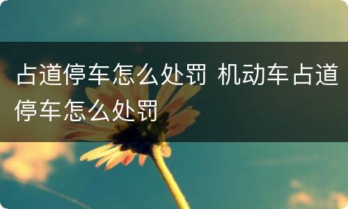占道停车怎么处罚 机动车占道停车怎么处罚