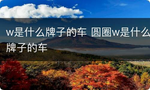 w是什么牌子的车 圆圈w是什么牌子的车