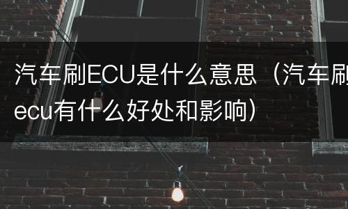 汽车刷ECU是什么意思（汽车刷ecu有什么好处和影响）