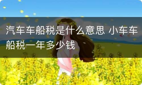 汽车车船税是什么意思 小车车船税一年多少钱