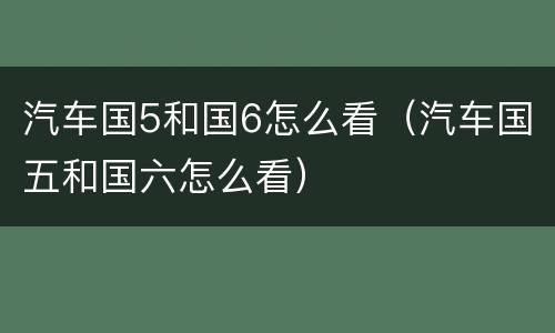 汽车国5和国6怎么看（汽车国五和国六怎么看）
