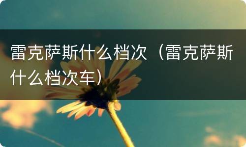 雷克萨斯什么档次（雷克萨斯什么档次车）