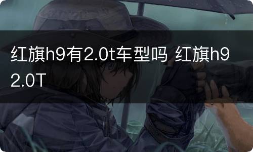 红旗h9有2.0t车型吗 红旗h9 2.0T