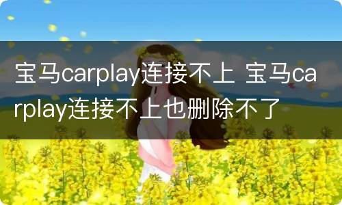 宝马carplay连接不上 宝马carplay连接不上也删除不了