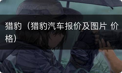 猎豹（猎豹汽车报价及图片 价格）