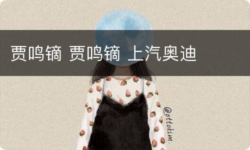 贾鸣镝 贾鸣镝 上汽奥迪