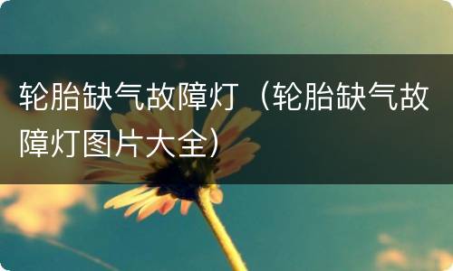 轮胎缺气故障灯（轮胎缺气故障灯图片大全）