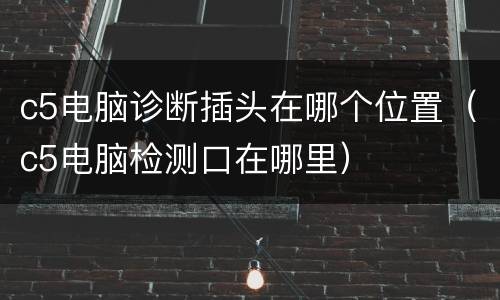 c5电脑诊断插头在哪个位置（c5电脑检测口在哪里）