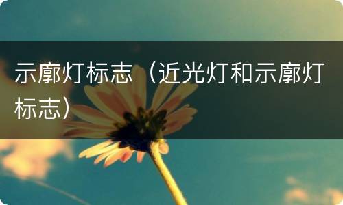 示廓灯标志（近光灯和示廓灯标志）