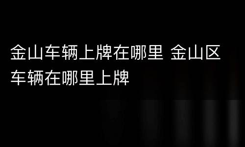 金山车辆上牌在哪里 金山区 车辆在哪里上牌