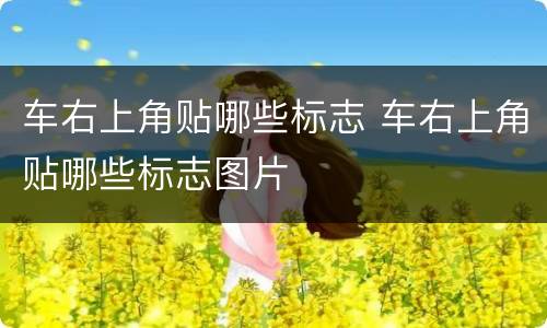 车右上角贴哪些标志 车右上角贴哪些标志图片