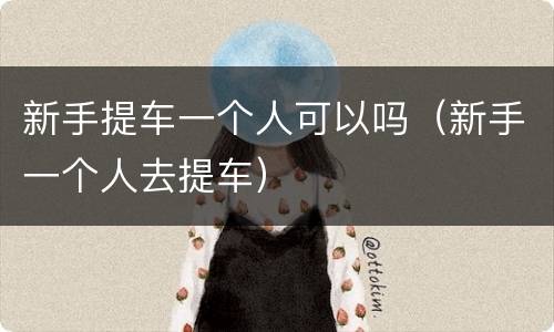 新手提车一个人可以吗（新手一个人去提车）