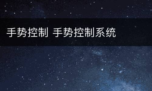 手势控制 手势控制系统
